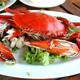 Illustration for article titled New Study Suggests Crustaceans Actually Do Feel Pain—Delicious, Delicious Pain